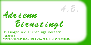 adrienn birnstingl business card